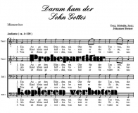 Darum kam der Sohn Gottes  (Mnnerchor)