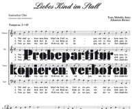 Liebes Kind im Stall  (Gemischter Chor)