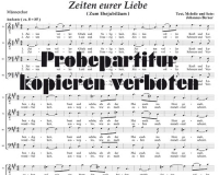 Zeiten eurer Liebe  (Mnnerchor) DLC