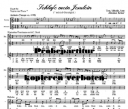 Schlaf' mein Jesulein (Sologesang, Duett) DLC