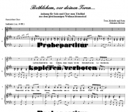 Bethlehem, vor deinen Toren (Gemischter Chor mit Solo) DLC