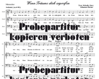 Wenn Trume dich ergreifen (Mnnerchor) DLC