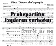 Wenn Trume dich ergreifen (Mnnerchor)