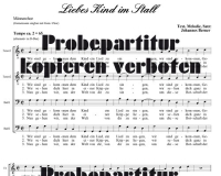 Liebes Kind im Stall (Mnnerchor) DLC